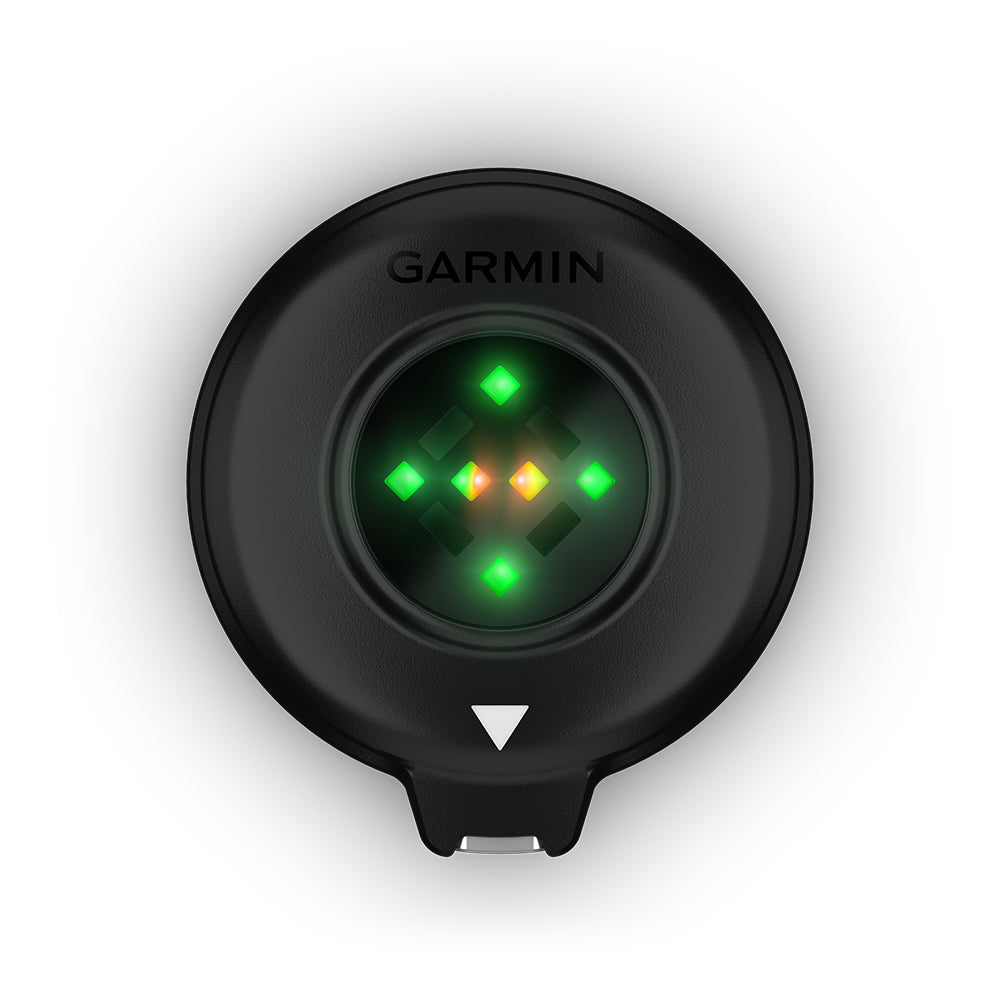 Garmin Blaze Equine Horse Wellness System