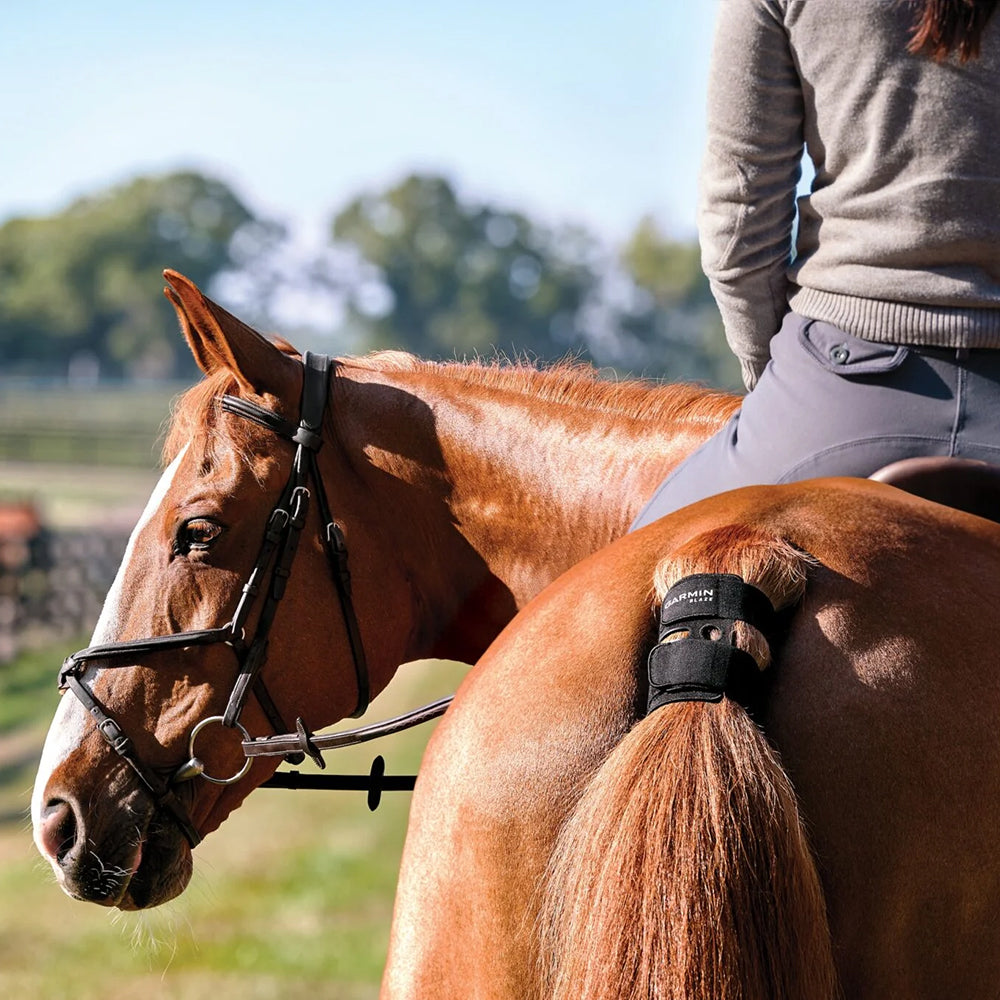 Garmin Blaze Equine Horse Wellness System