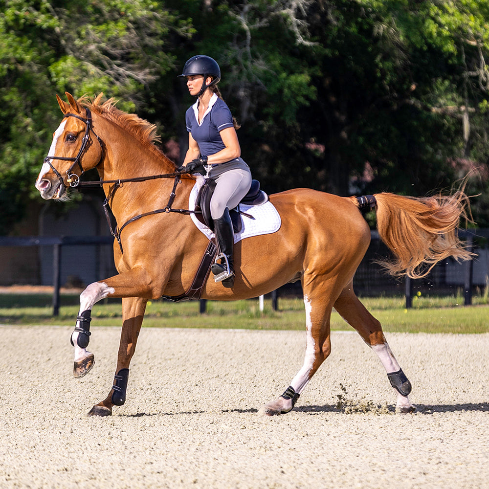 Garmin Blaze Equine Horse Wellness System